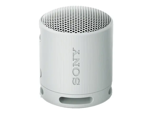 Sony SRS-XB100 - Høyttaler for bærbar bruk trådløs Bluetooth Appst...