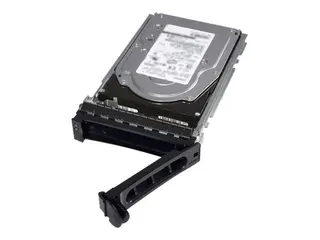 Dell - Customer Kit - harddisk 12 TB - hot-swap - 3.5" - SATA 6Gb/s - 7200 rpm - for PowerEdge C6420 (3.5")