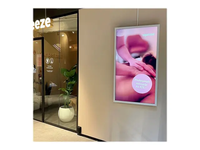 HI-ND Wall Casing PROTECT 75" Portrait - Monteringssett (hylster) ...