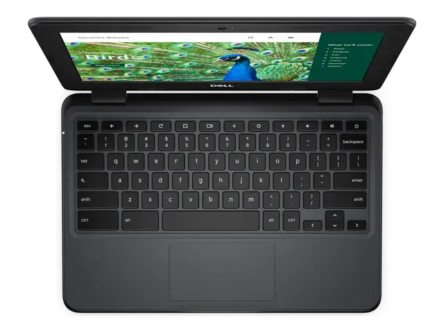Dell Chromebook 3120 (2024) - 11.6" Intel N-series N100 8 GB RAM 6...