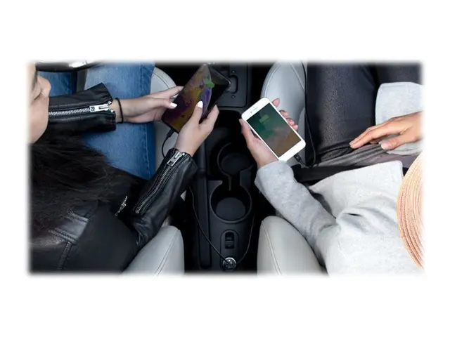 Belkin BoostCharge Dual Charger - Bilstrømadapter 24 watt 4.8 A 2 ...