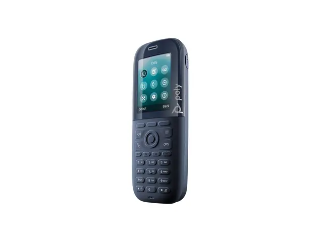 HP Poly Rove 30 - Trådløst ekstra håndsett med anrops-ID/samtale v...