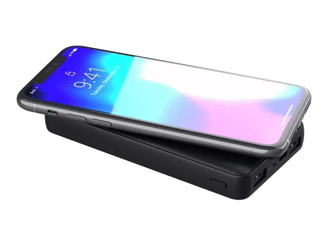 Trust Primo - Strømbank 15000 mAh 55.5 Wh 15 watt 3 A Fast Charge ...