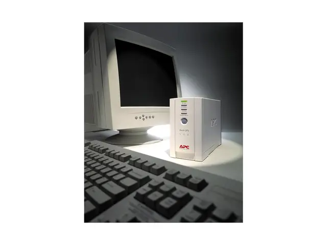 APC Back-UPS CS 500 - UPS - AC 230 V - 300 watt - 500 VA - RS-232,...