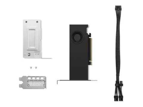 NVIDIA RTX - Grafikkort - NVIDIA RTX 2000 Ada 16 GB GDDR6 - PCIe 4.0 x8 lav profil - 4 x DisplayPort - for ThinkPad T16 Gen 4 21QN