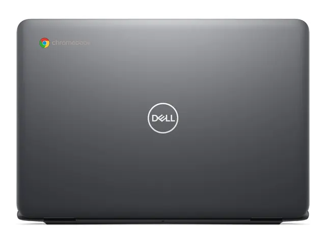 Dell Chromebook 3120 (2024) - 11.6" Intel N-series N100 4 GB RAM 6...