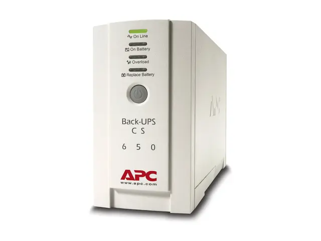 APC Back-UPS CS 650 - UPS - AC 230 V - 400 watt - 650 VA - RS-232,...