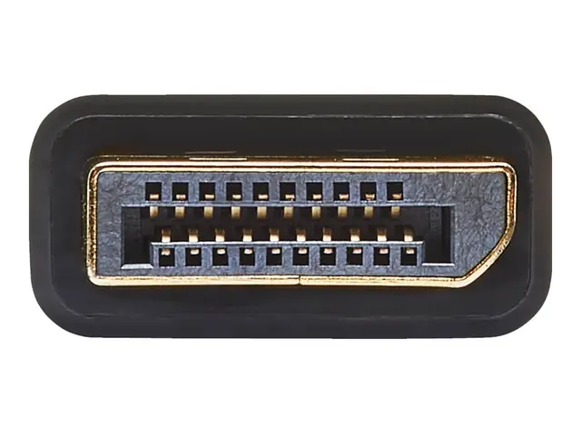 Eaton Tripp Lite Series 6in DisplayPort to DVI Adapter Active Conv...