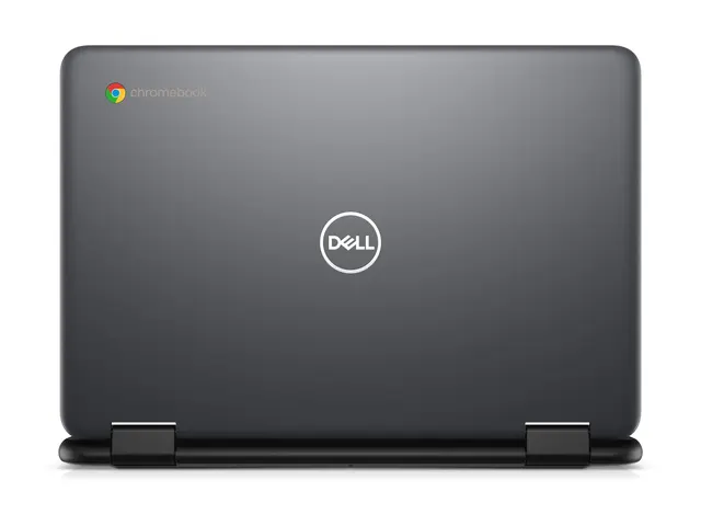 Dell Chromebook JSL 11 3110 2in1 - 11.6" Intel Celeron N4500 4 GB ...