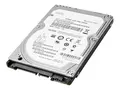HP Enterprise - Harddisk - 1 TB 3.5" - SATA 6Gb/s - 7200 rpm - for Workstation Z2 G4, Z2 G5, Z2 G8, Z2 G9, Z4 G4, Z440, Z6 G4, Z8 G4; ZCentral 4R (3.5")