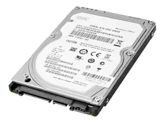 HP Enterprise - Harddisk - 1 TB - 3.5" - SATA 6Gb/s 7200 rpm - for Workstation Z2 G4, Z2 G5, Z2 G8, Z2 G9, Z4 G4, Z440, Z6 G4, Z8 G4; ZCentral 4R (3.5")