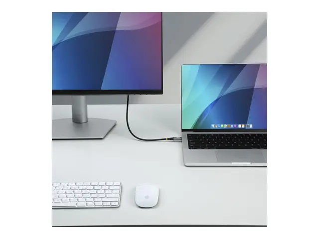 StarTech.com - USB-kabel 24 pin USB-C (hann) til USB4 / Thunderbol...