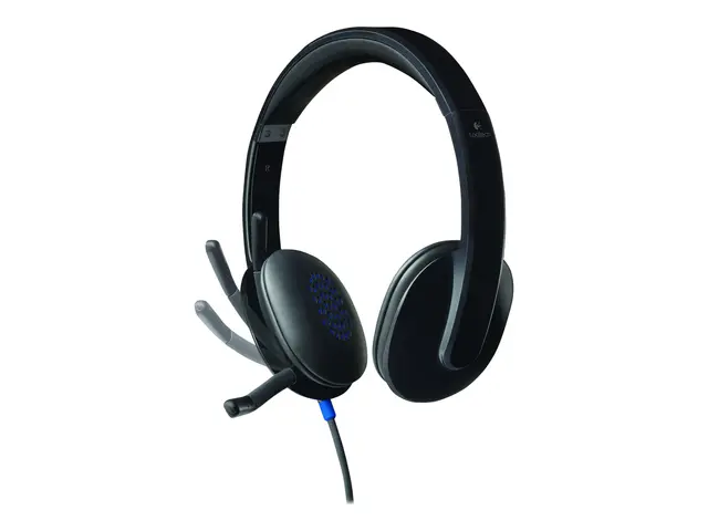 Logitech USB Headset H540 - Hodesett - on-ear - kablet