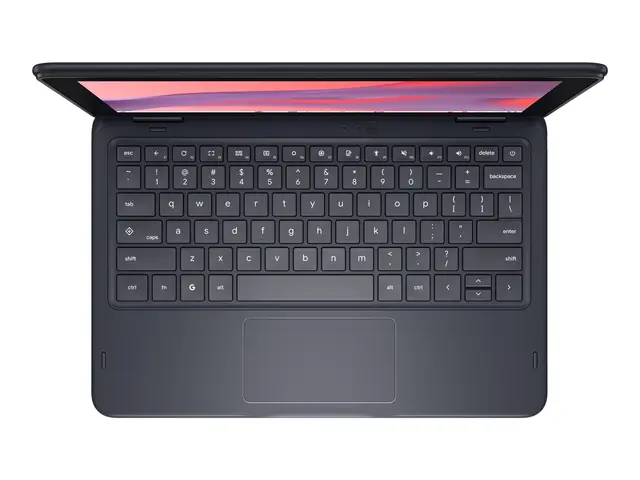 Dell Chromebook 11 CC11260 - 11.6" - Intel N-series N150 - 8 GB RAM - 64 GB eMMC 