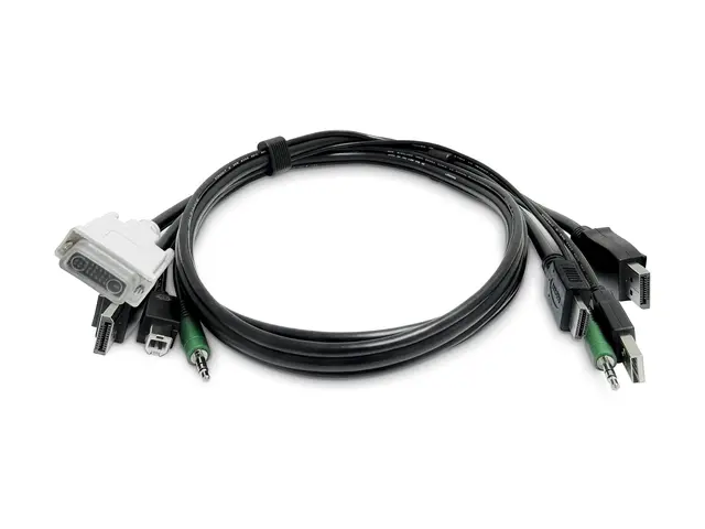 Startech - Adapterkabel TAA-samsvar USB-type B, DisplayPort, DVI-D...