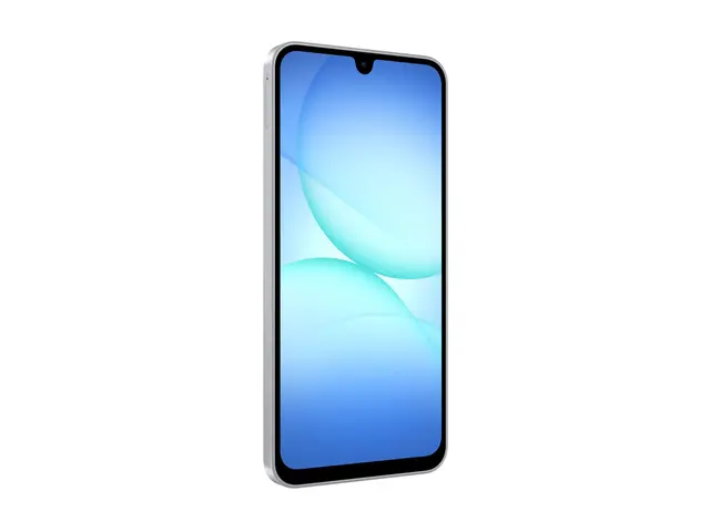 Samsung Galaxy A17 5G - Grå - 128 GB 