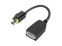 Lenovo - DisplayPort-adapter - Mini DisplayPort (hann) til DisplayPort (hunn) for ThinkCentre M75t Gen 2; ThinkStation P320; P330; P330 Gen 2; P348; P520; P620; P720; P920