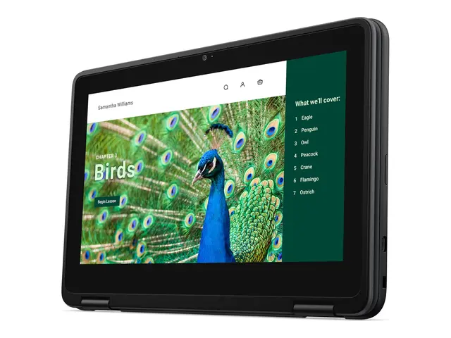 Dell Chromebook 3120 (2024) - 11.6" Intel N-series N100 8 GB RAM 6...