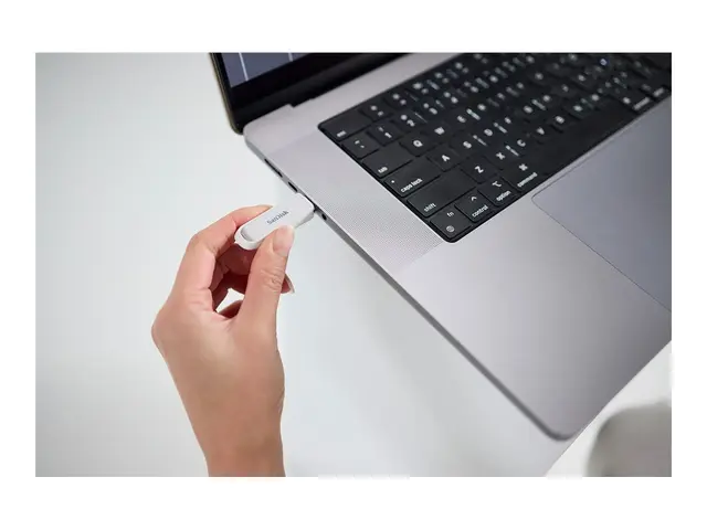 SANDISK Phone Drive with USB-C Arctic White 1TB 