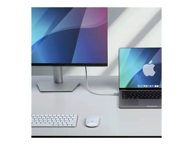 StarTech.com - USB-kabel 24 pin USB-C (hann) til USB4 / Thunderbol...