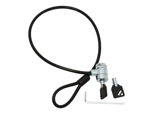 Ergotron CPU Lock Kit - Sikkerhetskabellås 9.5 cm for P/N: SV42-83...