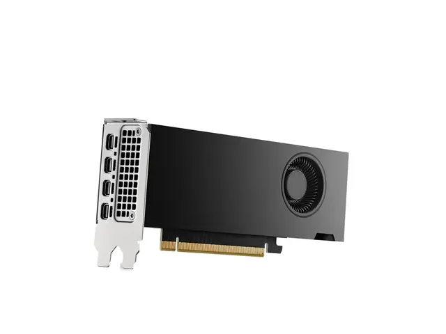 NVIDIA RTX 2000 Ada - Grafikkort 16 GB GDDR6 4 x Mini DisplayPort