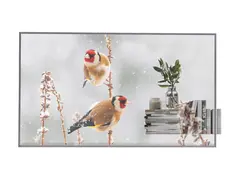 LG 55EW5P-M - 55" Diagonalklasse OLED-display intelligent skilting - webOS - 1080p 1920 x 1080 - gjennomsiktig