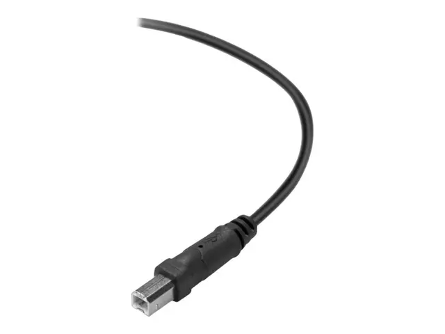 Belkin Premium Printer Cable - USB-kabel - USB-type B (hann) til U...