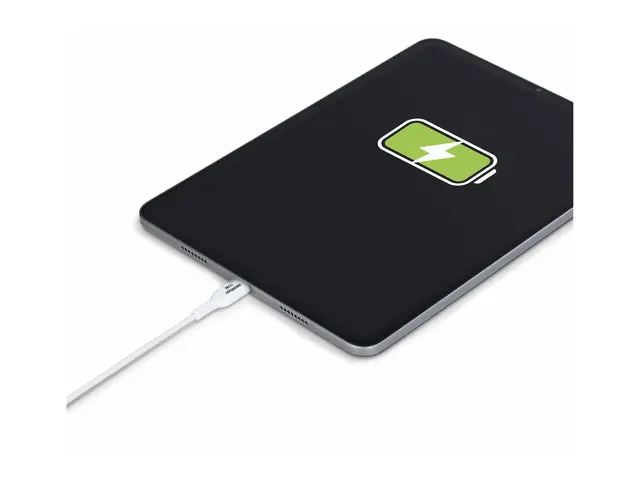 StarTech.com 3m (9.8ft) White USB-A to USB-C Charging Cable/Cord, ...