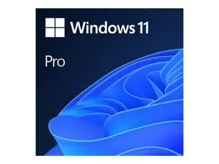 Windows 11 Pro - Lisens - 1 lisens - OEM DVD - 64-bit - Engelsk