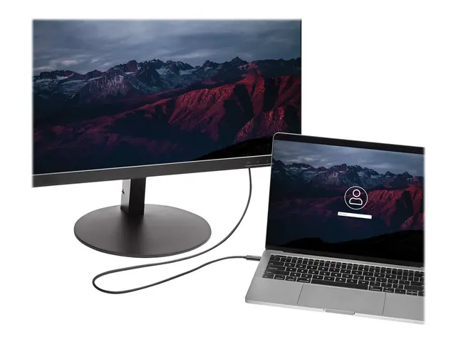 StarTech.com 6ft (2m) USB C to HDMI Cable, 4K 60Hz Type 2.0 Video ...