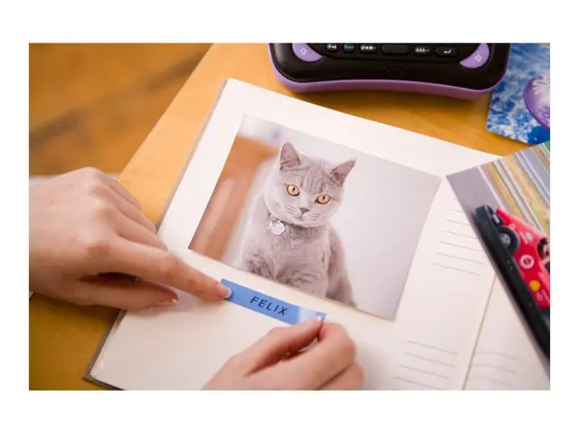 Brother TZe-531 - Sort på blått Rull (1,2 cm x 8 m) 1 kassett(er) ...