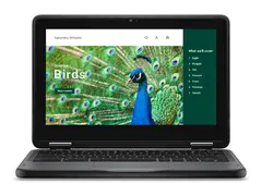 Dell Chromebook 3120 2in1 (2024) - 11.6" Intel N-series - N100 - 4 GB RAM - 64 GB eMMC
