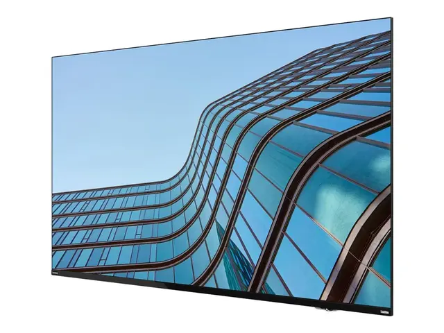 Lenovo ThinkVision E55 LFD - 55" Diagonalklasse (54.6" synlig) LED...