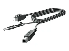 HP - DisplayPort-kabel - DisplayPort (hann) til DisplayPort (hann) 3 m - for RP9 G1 Retail System 9015, 9018, 9118