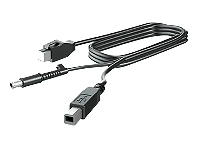 HP - DisplayPort-kabel - DisplayPort (hann) til DisplayPort (hann)...