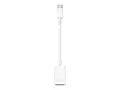 Apple - USB-adapter - 24 pin USB-C (hann) til USB-type A (hunn) Thunderbolt 3
