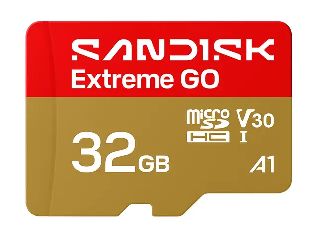 SanDisk Extreme Go - Flashminnekort 32 GB A1 / Video Class V30 UHS...