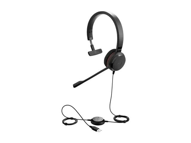 Jabra Evolve 20 MS mono - Special Edition - hodesett - on-ear - ka...