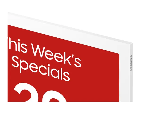 Samsung EM13DX - 13" Diagonalklasse (13.3" synlig) EMDX series e-P...