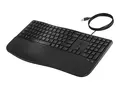 HP 485 Comfort - Tastatur - multi-enhet, 23 programmerbare taster, 3-soners layout full size - USB - Pan Nordic - svart