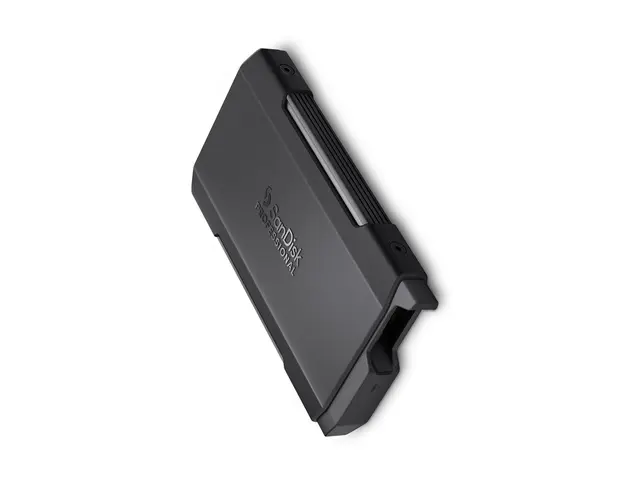 SanDisk Professional PRO-BLADE TRANSPORT - SSD 2 TB ekstern (bærba...