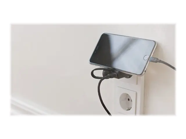 Unisynk G2 - Strømadapter - 12 watt - 2.4 A (USB) - på kabel: USB-C