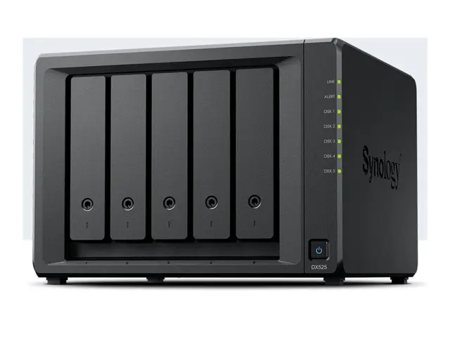Synology DX525 - Lagerskap 5 brønner