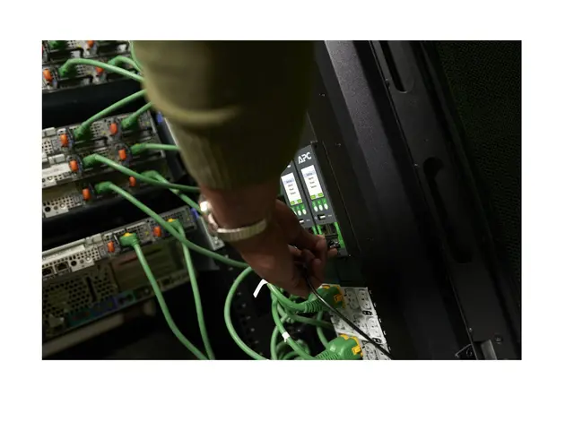 APC NetShelter Rack PDU Advanced - strømfordelerenhet svitsjet mål...