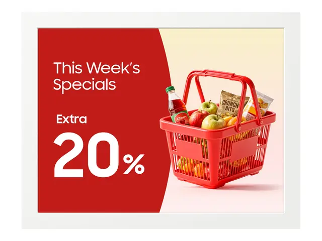 Samsung EM13DX - 13" Diagonalklasse (13.3" synlig) EMDX series e-P...