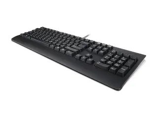 Lenovo Preferred Pro II - Tastatur full size - USB - QWERTY - USA/Europa - svart - brun boks