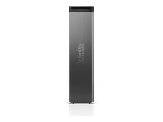 SanDisk Professional PRO-BLADE SSD Mag - SSD 2 TB - ekstern (b&#230;rbar)