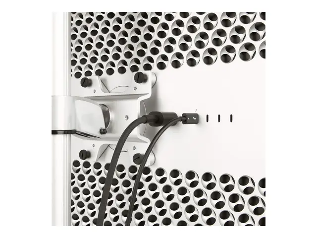 StarTech.com 1.6ft (50cm) Thunderbolt 4 Cable, 40Gbps, 100W Power ...