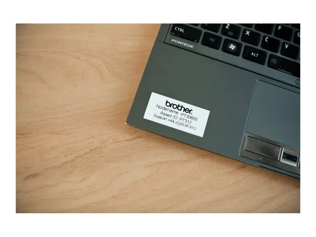 Brother TZe-261 - Selv-adhesiv svart på hvitt Rull (3,6 cm x 8 m) ...